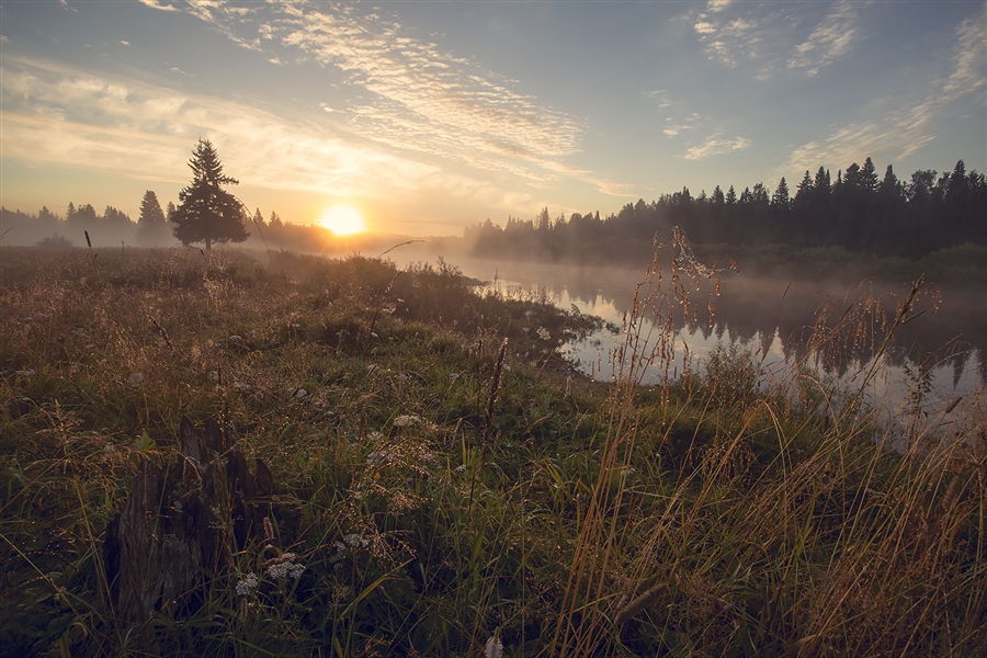 Фото жизнь