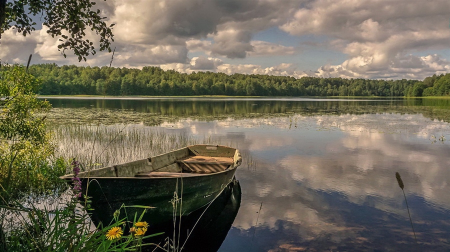 Фото жизнь