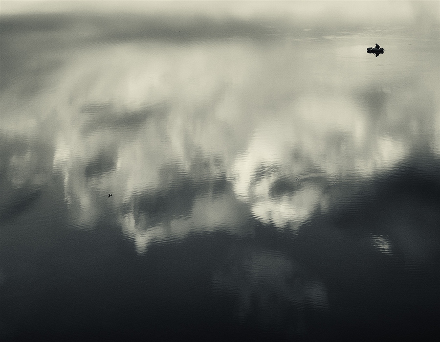Фото жизнь (light) - alextich (Александр Тихоныч) - Водный мир - ... в верхних слоях.