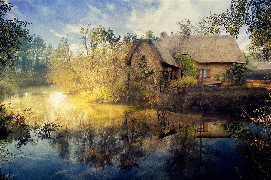 Фото жизнь