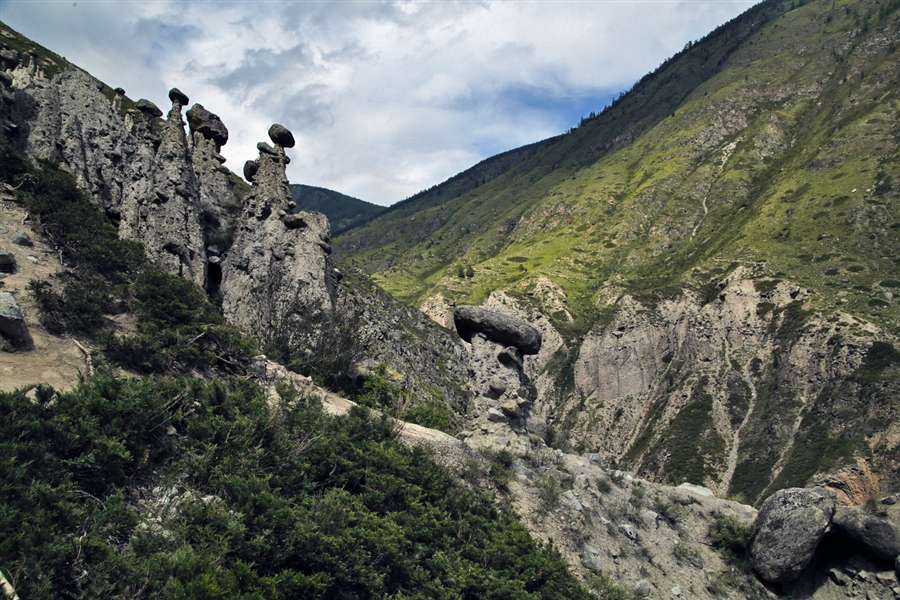 Фото жизнь