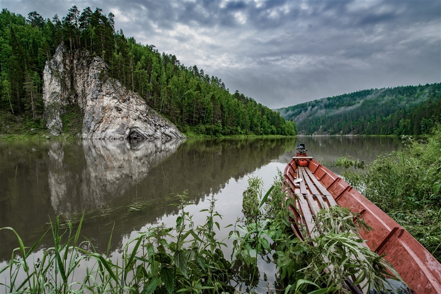 Фото жизнь