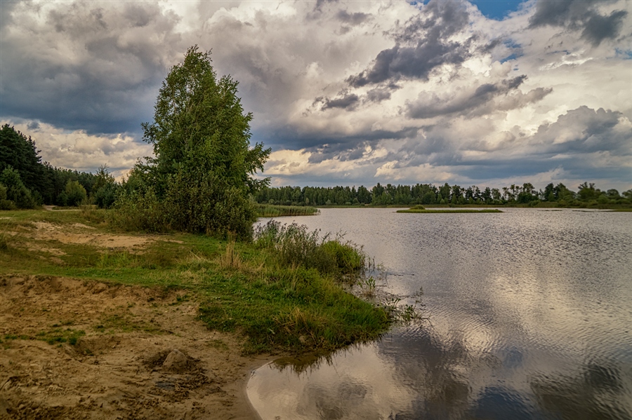 Фото жизнь
