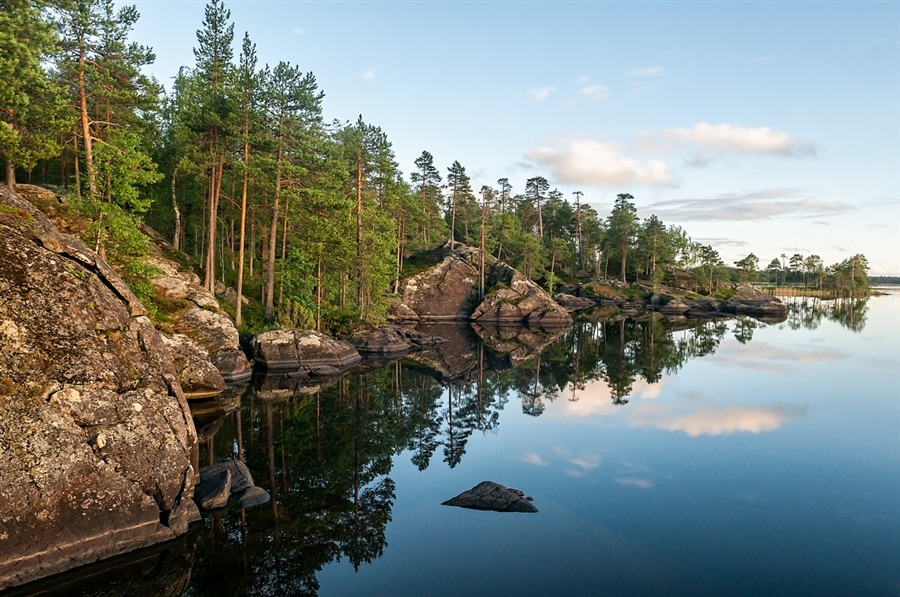 Фото жизнь