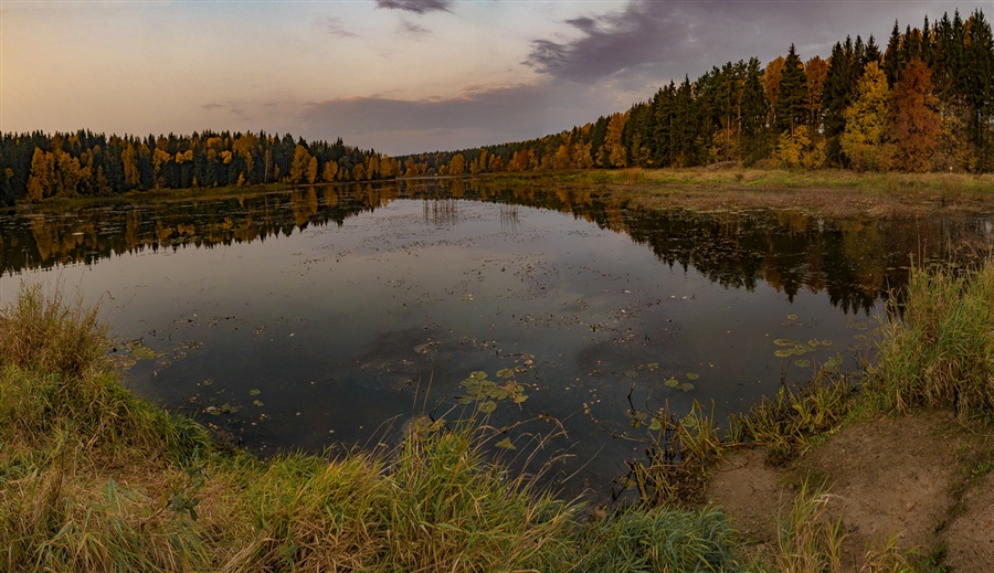 Фото жизнь