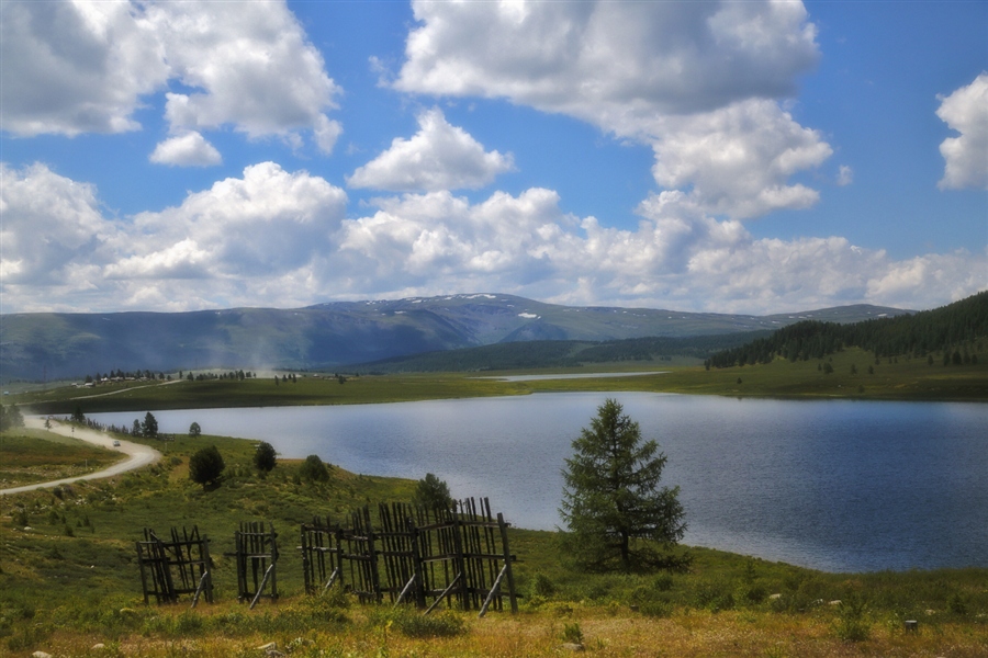 Фото жизнь
