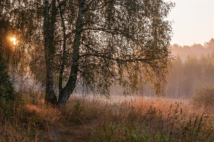Фото жизнь