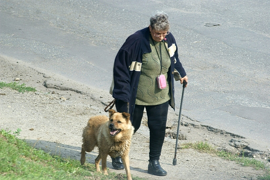 Фото жизнь