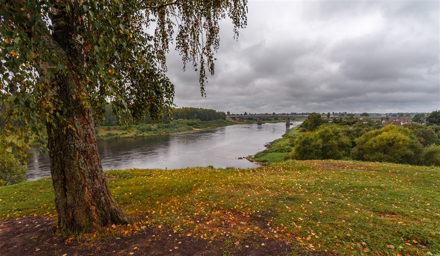 Фото жизнь