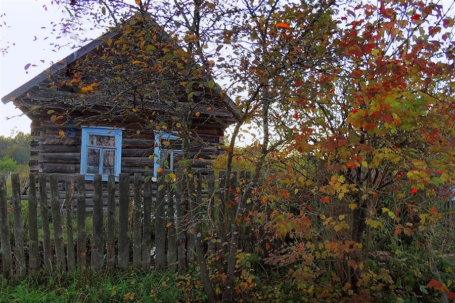 Фото жизнь