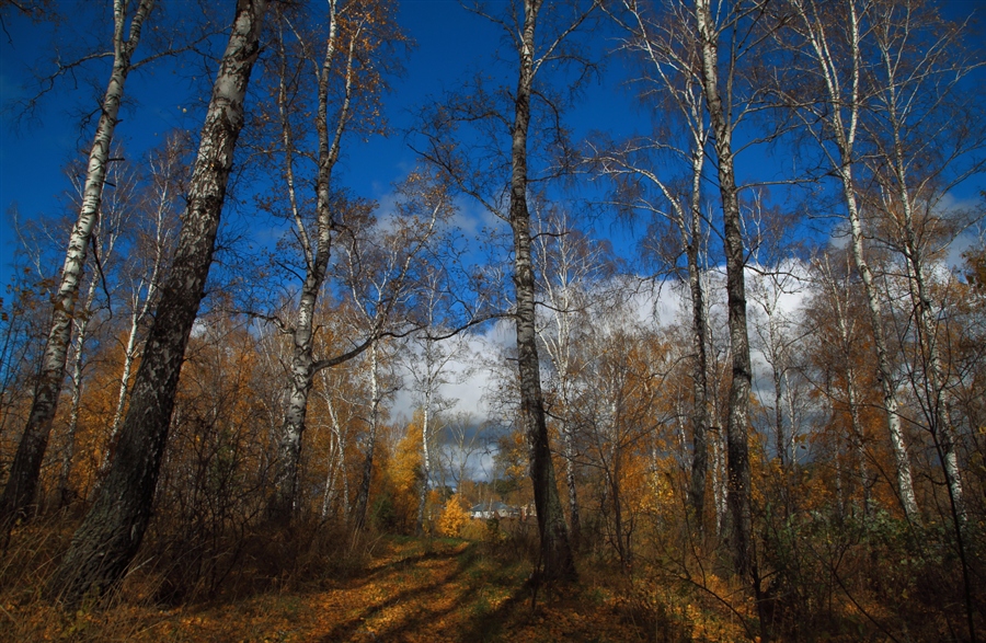 Фото жизнь