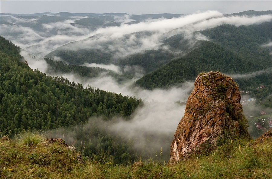 Фото жизнь