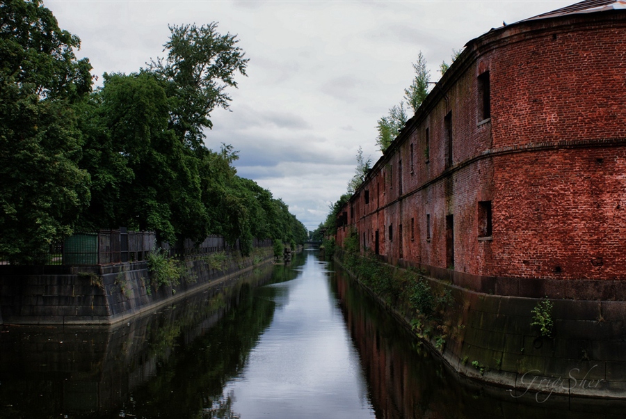 Фото жизнь