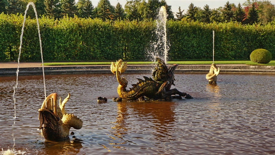Фото жизнь