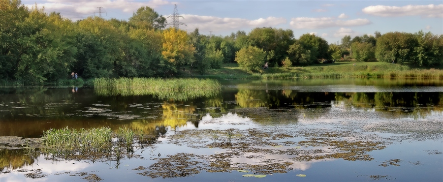 Фото жизнь