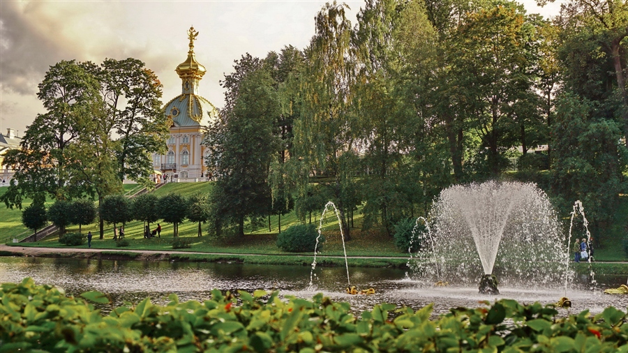 Фото жизнь