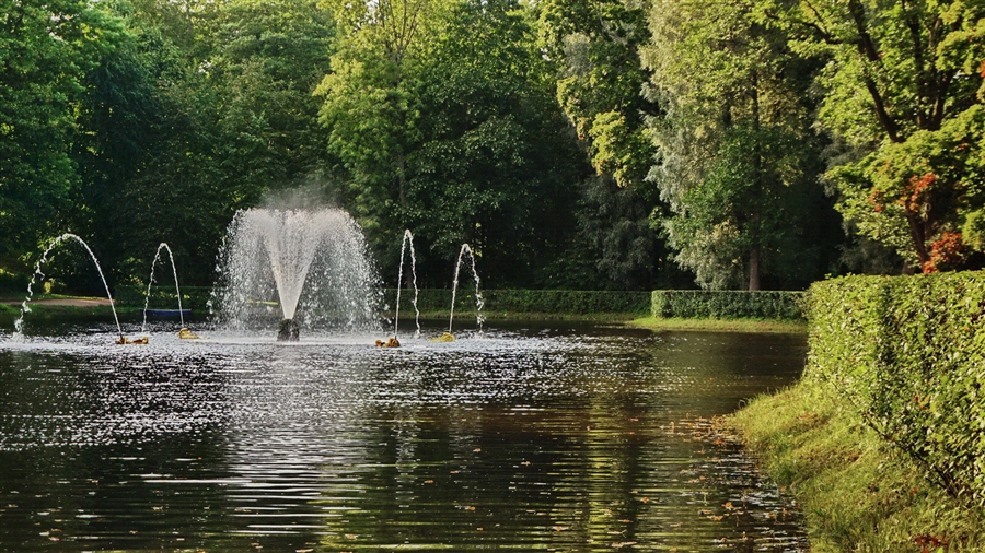 Фото жизнь