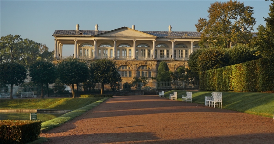 Фото жизнь