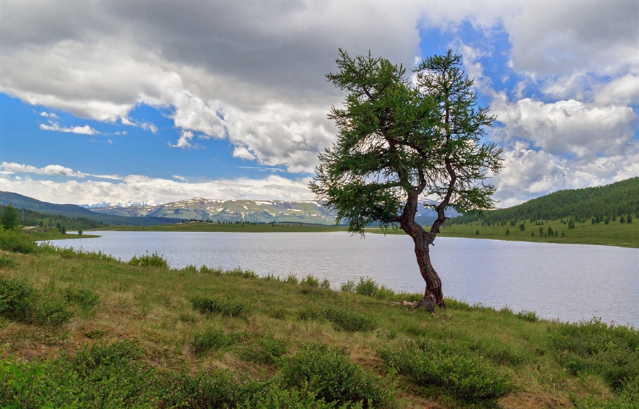 Фото жизнь
