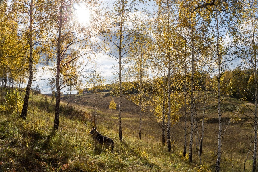 Фото жизнь
