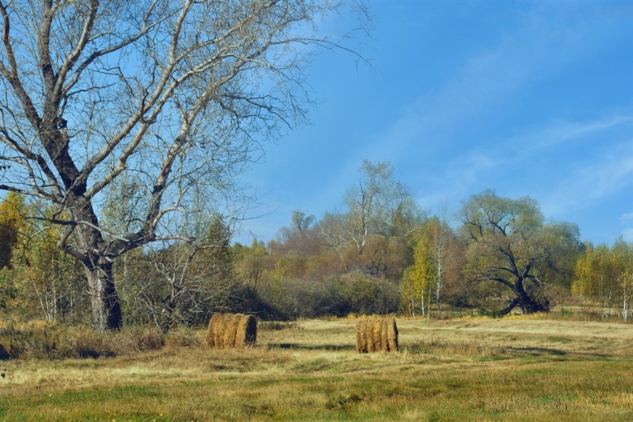 Фото жизнь