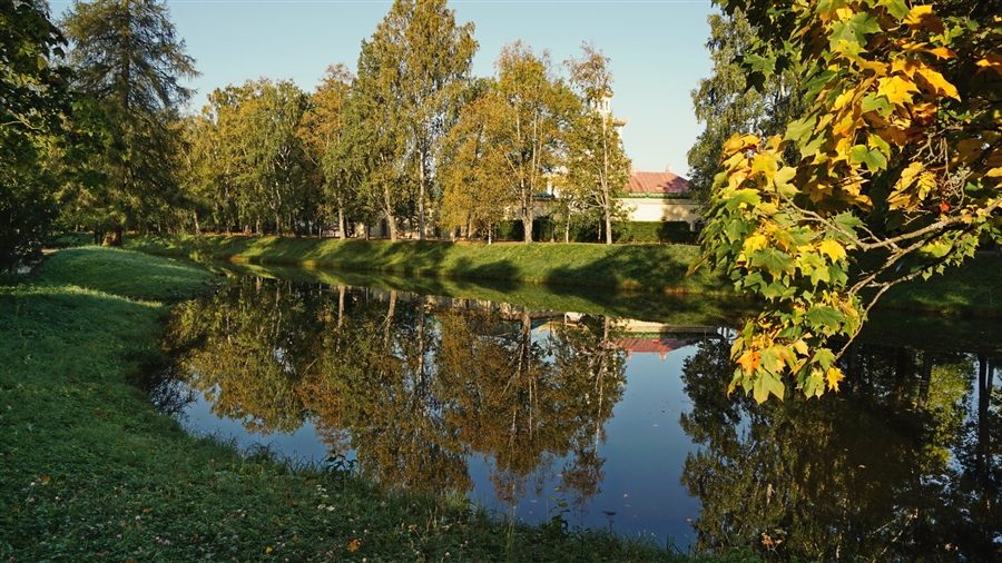 Фото жизнь