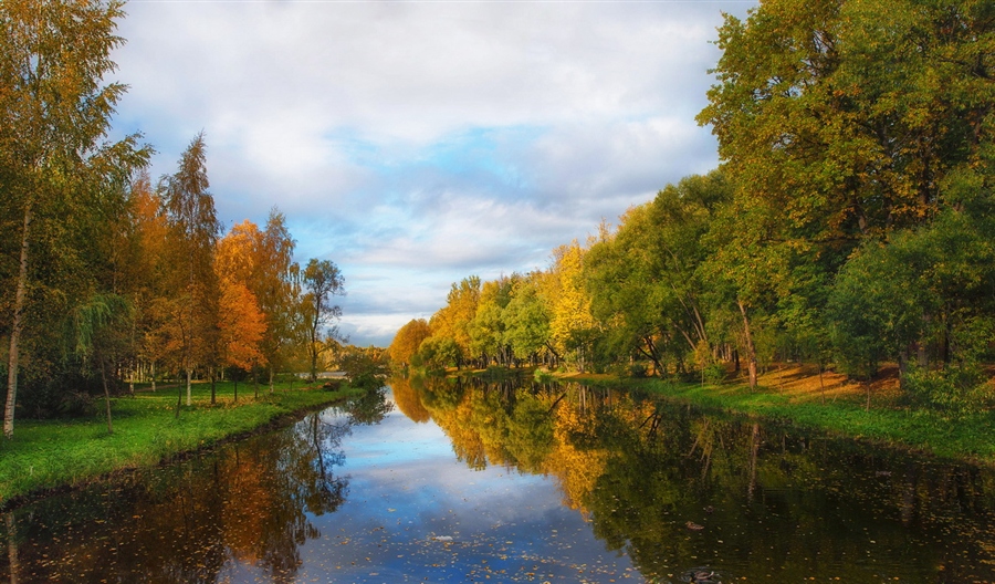 Фото жизнь