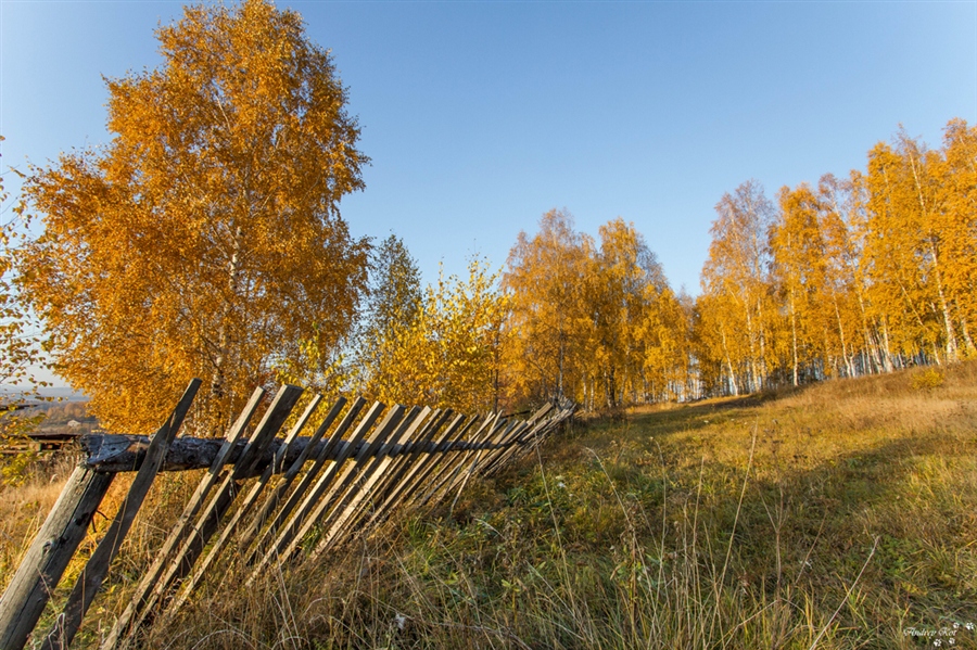 Фото жизнь