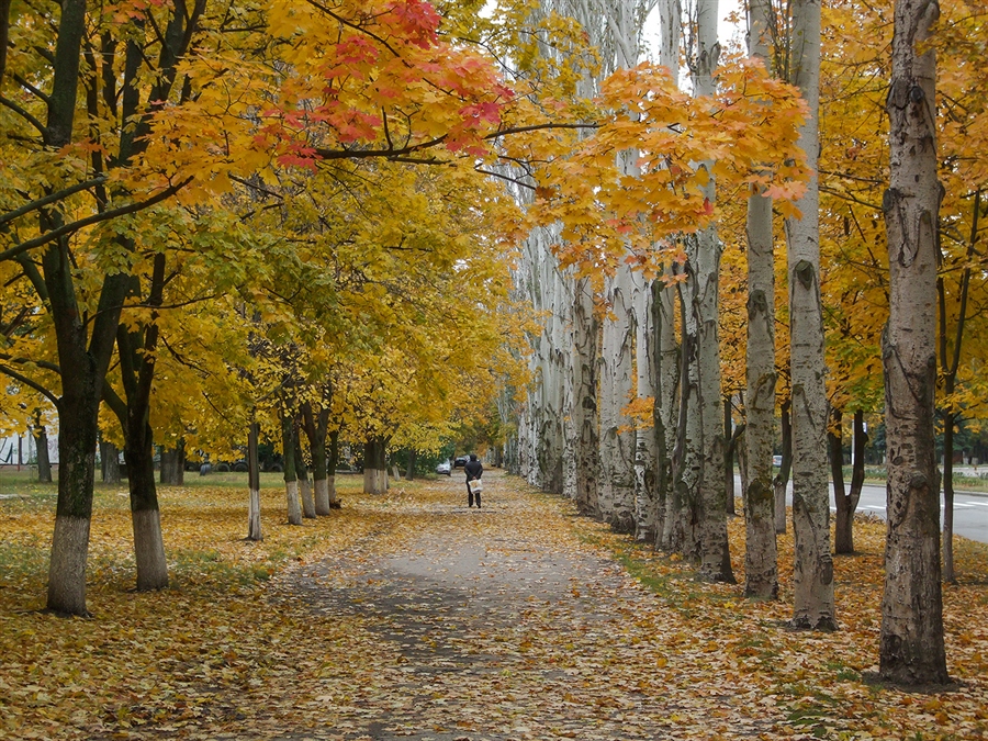 Фото жизнь