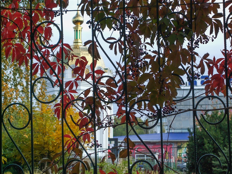 Фото жизнь