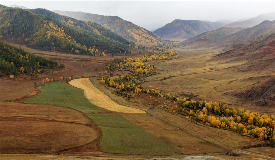 Фото жизнь