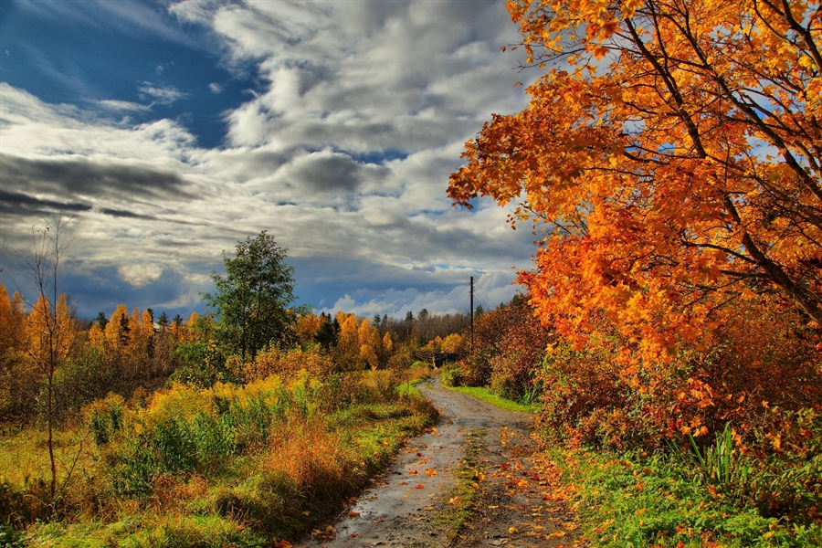 Фото жизнь