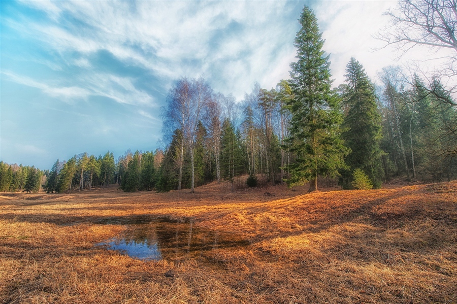 Фото жизнь
