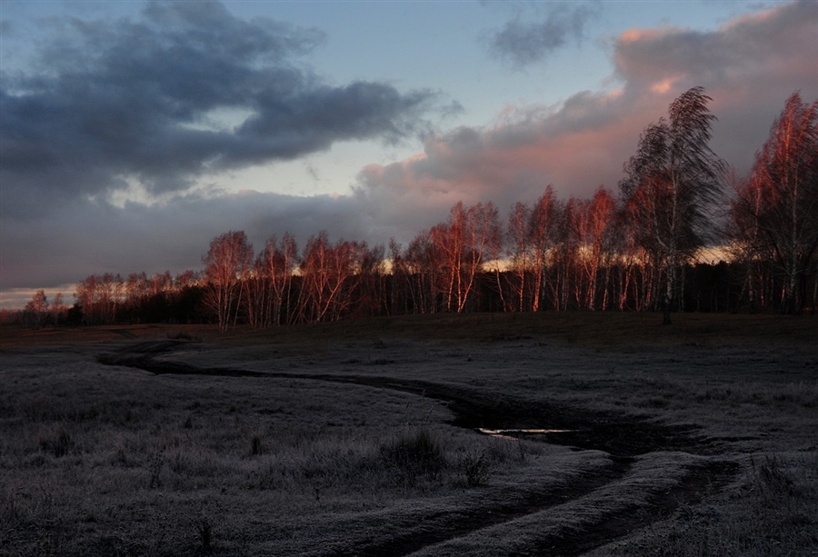 Фото жизнь