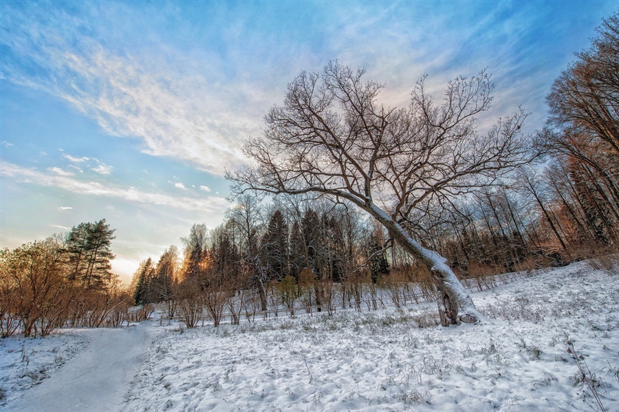 Фото жизнь