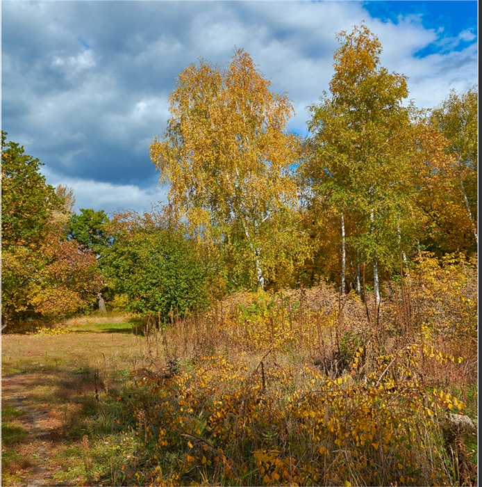 Фото жизнь