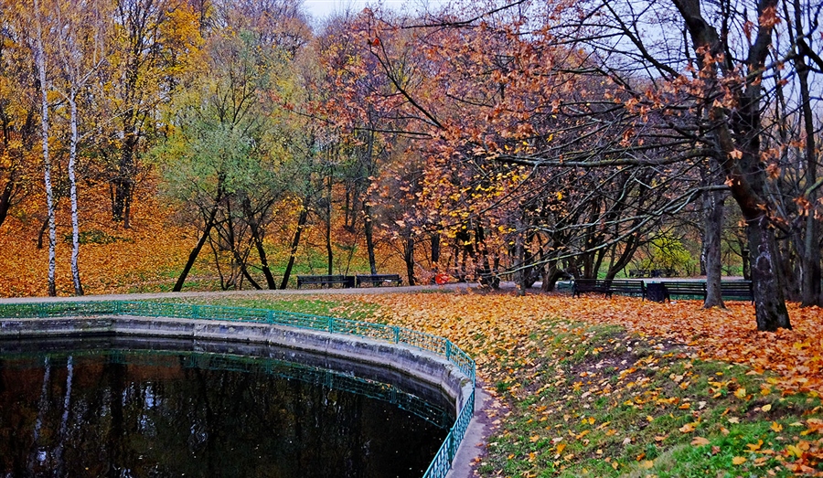 Фото жизнь
