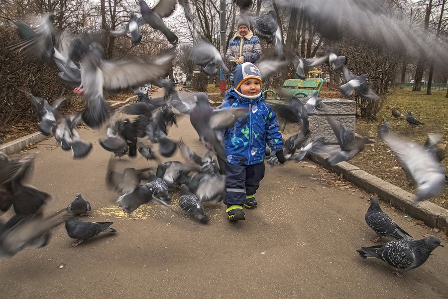 Фото жизнь