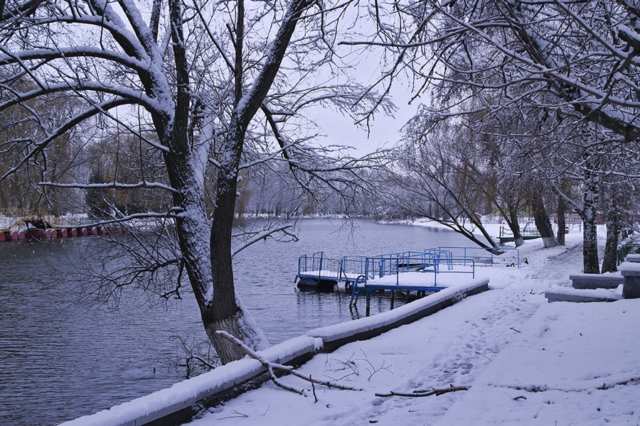 Фото жизнь