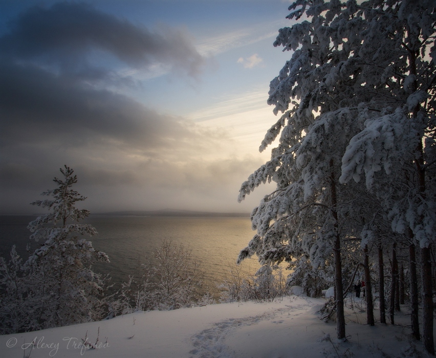 Фото жизнь