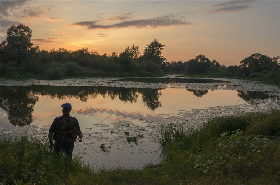 Фото жизнь