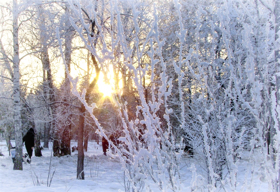 Фото жизнь