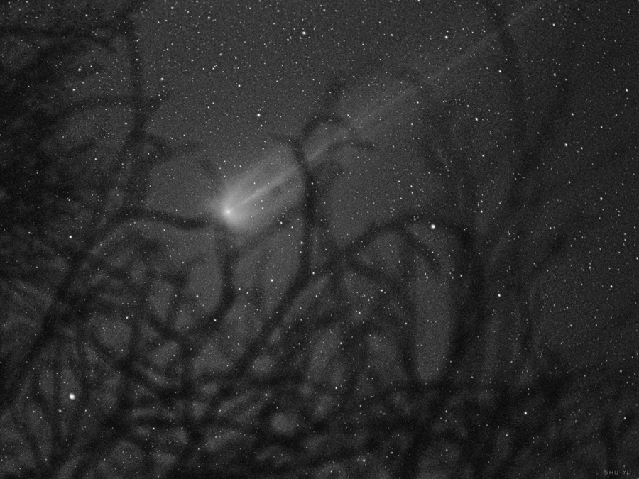 Фото жизнь (light) - Aleksandr Yuferev - корневой каталог - Comet