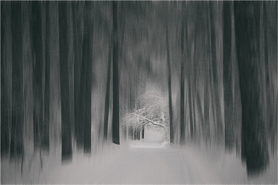 Фото жизнь (light) - Evgenii_22 - Черно-Белое -  Зимний лес приглашает...