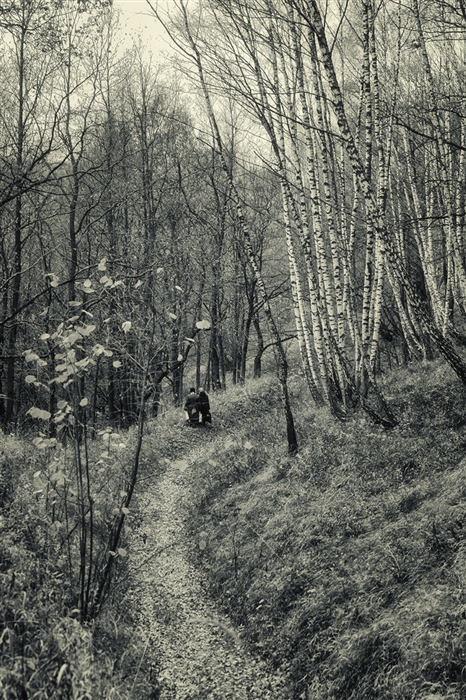 Фото жизнь (light) - alextich (Александр Тихоныч) - Алексин и окрест него - ... подберёзовики...