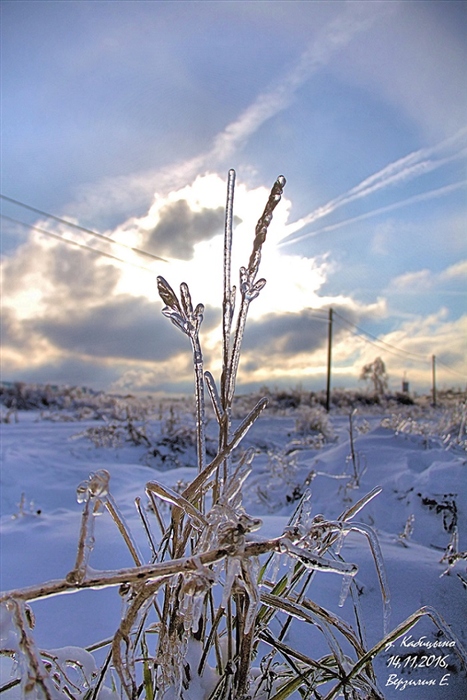 Фото жизнь
