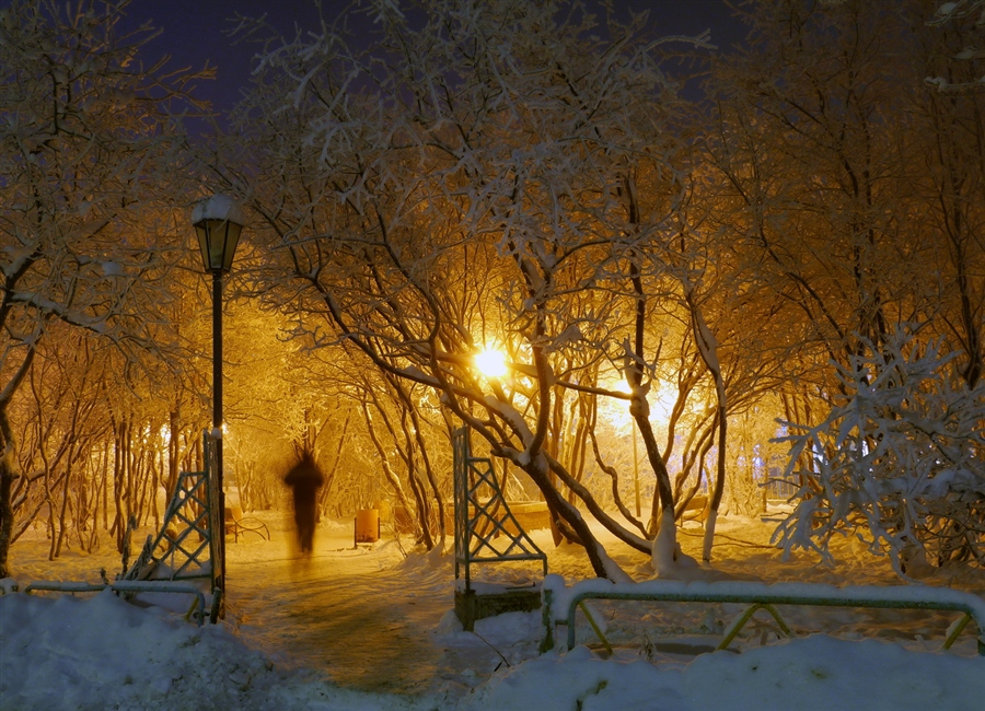 Фото жизнь