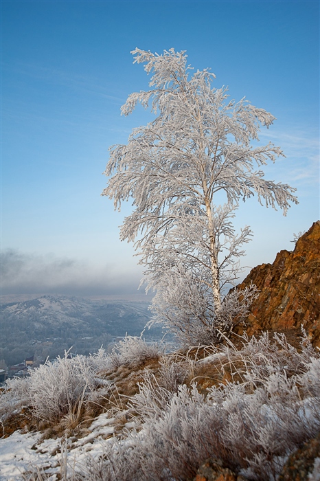 Фото жизнь