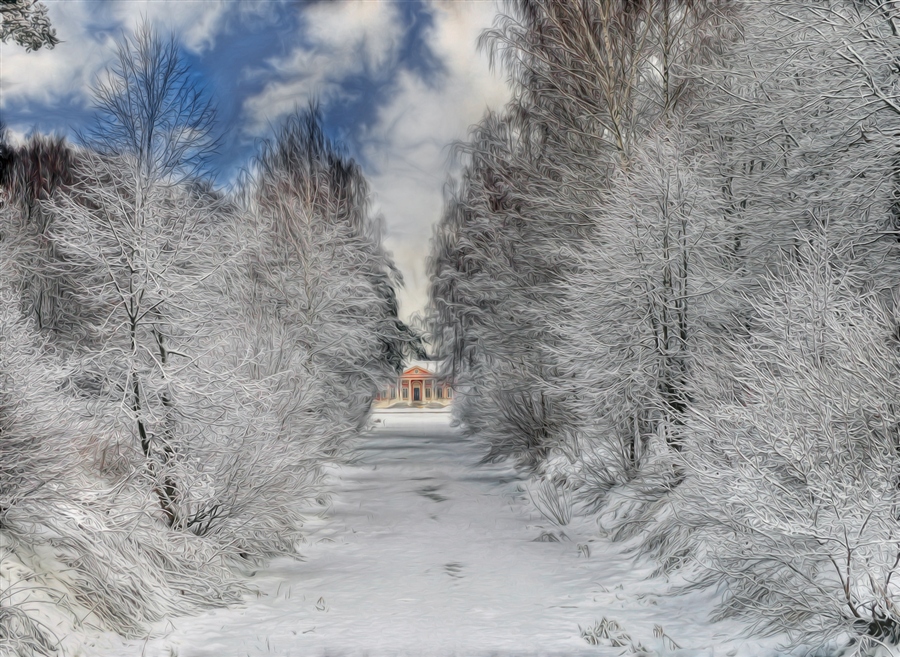 Фото жизнь