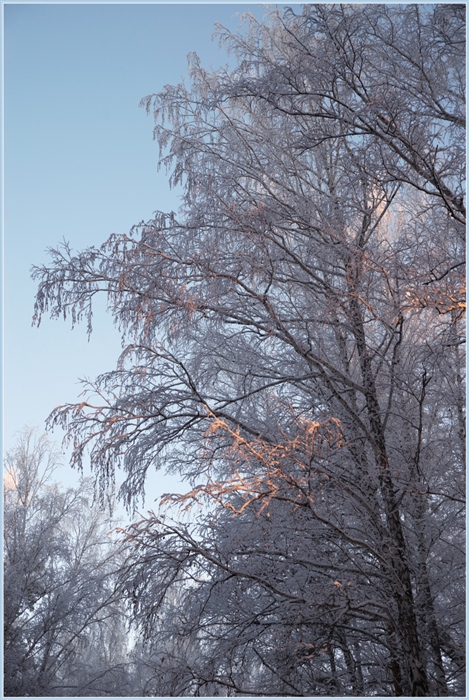 Фото жизнь